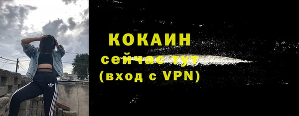 шишки Балахна