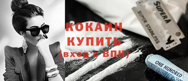 шишки Балахна